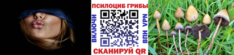 Псилоцибиновые грибы прущие грибы  Купить закладки  Тайга 